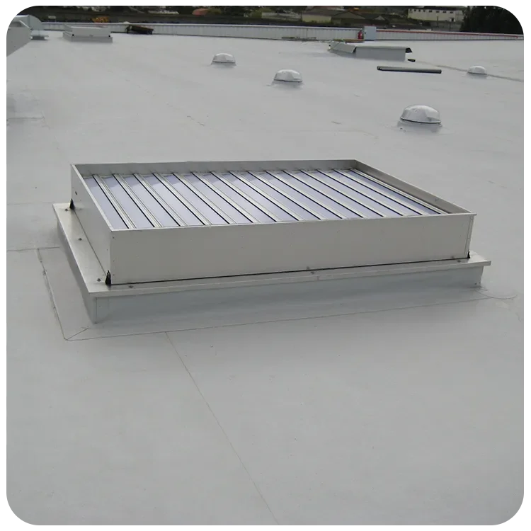 Exaustão de Fumaça